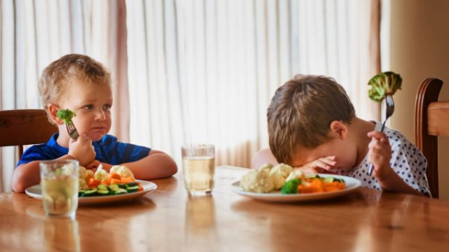 10 Cara Mengatasi Anak yang Suka Pilih-pilih Makanan