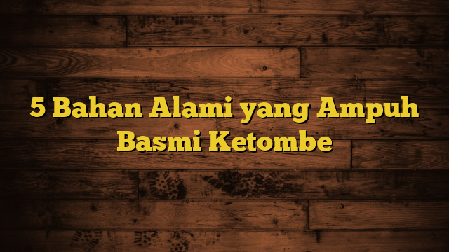 5 Bahan Alami yang Ampuh Basmi Ketombe