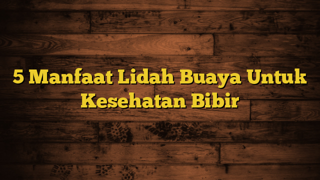 5 Manfaat Lidah Buaya Untuk Kesehatan Bibir