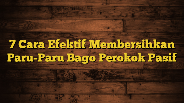 7 Cara Efektif Membersihkan Paru-Paru Bago Perokok Pasif