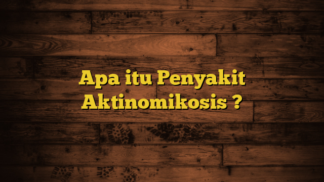 Apa itu Penyakit Aktinomikosis ?