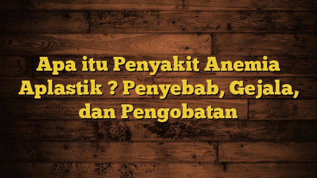 Apa itu Penyakit Anemia Aplastik ? Penyebab, Gejala, dan Pengobatan