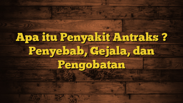 Apa itu Penyakit Antraks ? Penyebab, Gejala, dan Pengobatan