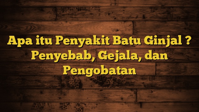 Apa itu Penyakit Batu Ginjal ? Penyebab, Gejala, dan Pengobatan