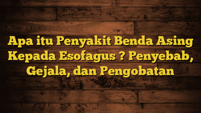 Apa itu Penyakit Benda Asing Kepada Esofagus ? Penyebab, Gejala, dan Pengobatan