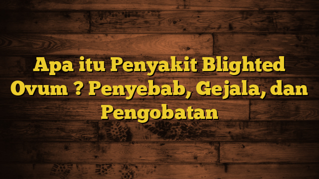 Apa itu Penyakit Blighted Ovum ? Penyebab, Gejala, dan Pengobatan