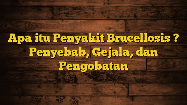 Apa itu Penyakit Brucellosis ? Penyebab, Gejala, dan Pengobatan