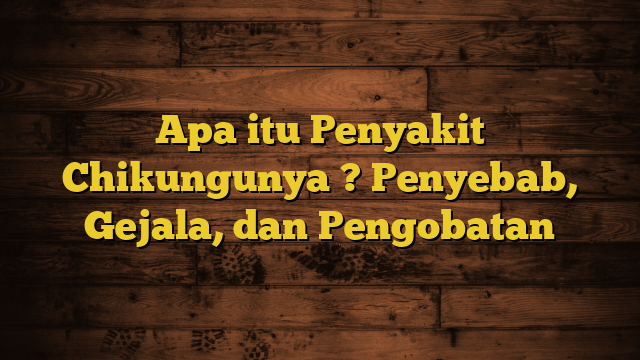 Apa itu Penyakit Chikungunya ? Penyebab, Gejala, dan Pengobatan