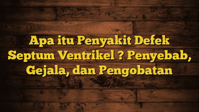 Apa itu Penyakit Defek Septum Ventrikel ? Penyebab, Gejala, dan Pengobatan