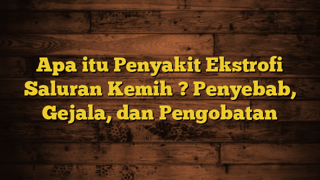 Apa itu Penyakit Ekstrofi Saluran Kemih ? Penyebab, Gejala, dan Pengobatan