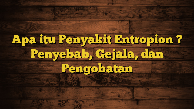 Apa itu Penyakit Entropion ? Penyebab, Gejala, dan Pengobatan