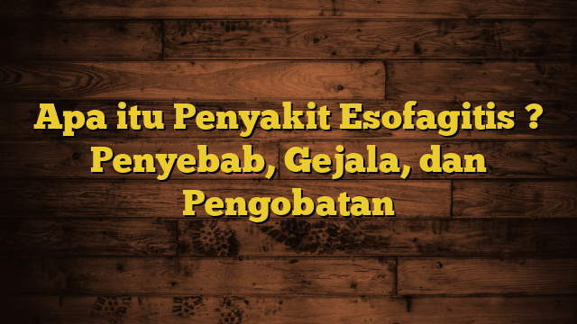 Apa itu Penyakit Esofagitis ? Penyebab, Gejala, dan Pengobatan