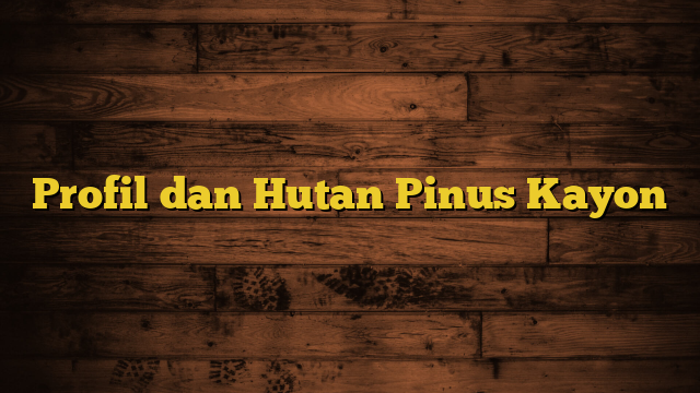 Profil dan Hutan Pinus Kayon