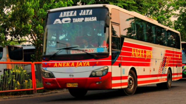 Berapa Harga Tiket Bus Aneka Jaya ?