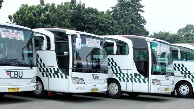 Berapa Harga Tiket Bus CBU?