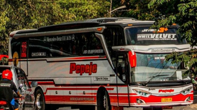 Berapa Harga Tiket Bus Putra Pelita Jaya ?