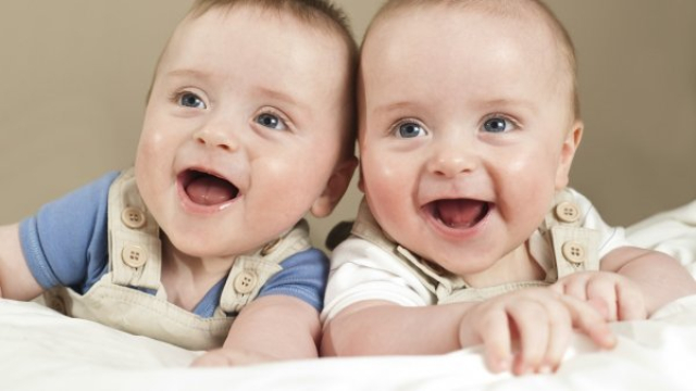 Ingin Mempunyai Anak Kembar? Ketahui Hal INi Dahulu