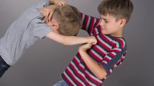 Resiko Bullying Terhadap Anak dengan Autisme, Bahkan dari Saudara Kandung